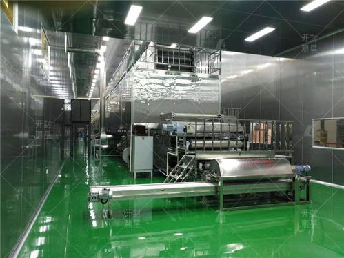 自动化粉条加工厂厂房及车间的核心生产条件解析